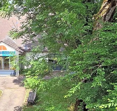 Nancy Sud Renovees Hotel 3*