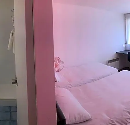 Hotel Nancy Sud Renovees 3*