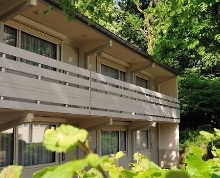 Nancy Sud Renovees 3*